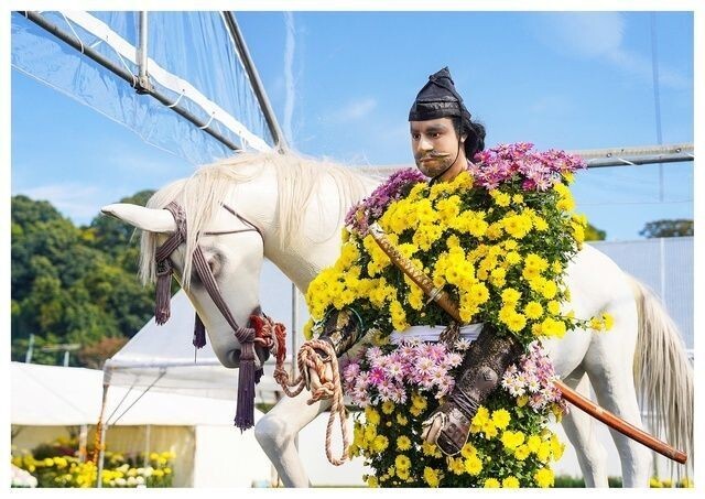 菊人形・菊まつり(菊池市)