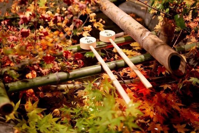 日枝神社もみじ祭