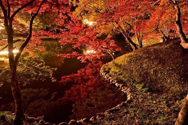 用作観光もみじ祭り(過去のライトアップの様子)