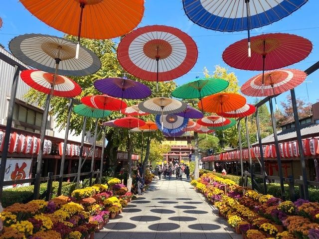 第118回 笠間の菊まつり