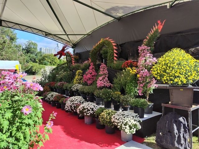 広島城大菊花展/昨年の特作花壇のようす