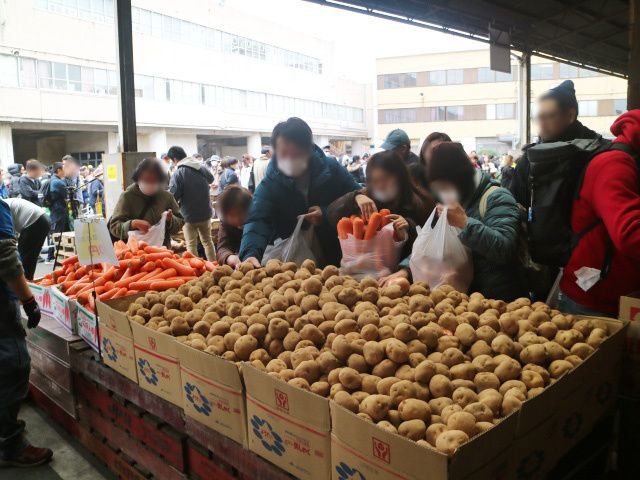 第31回 南部市場食鮮まつり(前回開催時の写真)