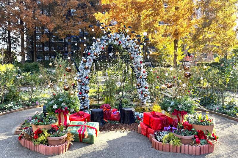 2024年の色彩のローズガーデンフォトスポット