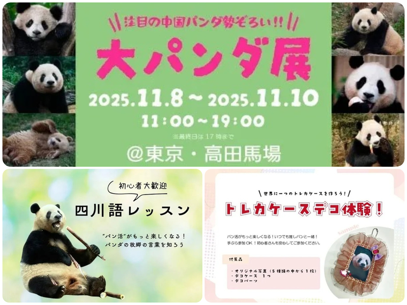 注目の中国パンダ勢ぞろい! 大パンダ展