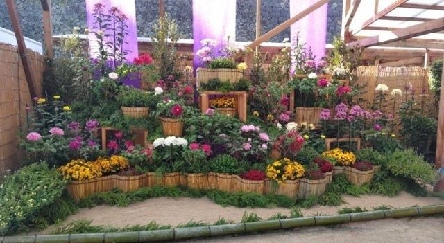 第75回 松江菊花展