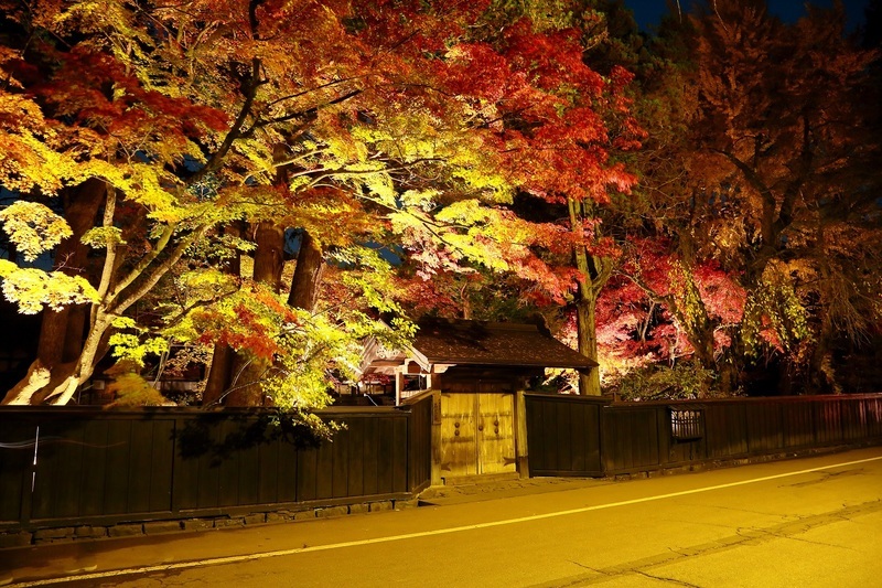 角館武家屋敷通り紅葉ライトアップ