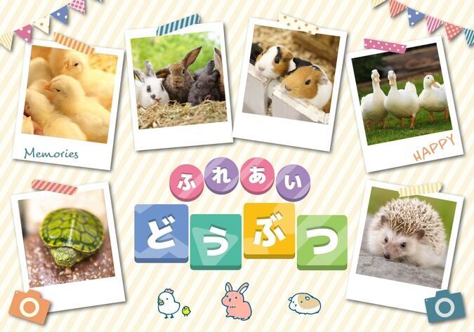 ふれあい動物広場