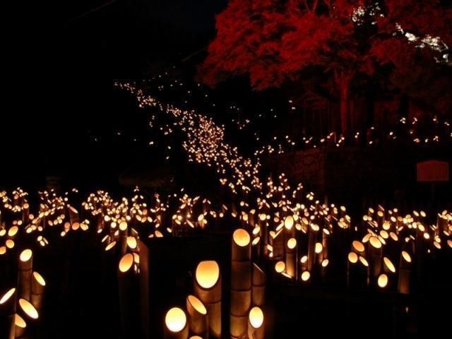 第26回 たけた竹灯籠「竹楽(ちくらく)」(観音寺 十六羅漢)