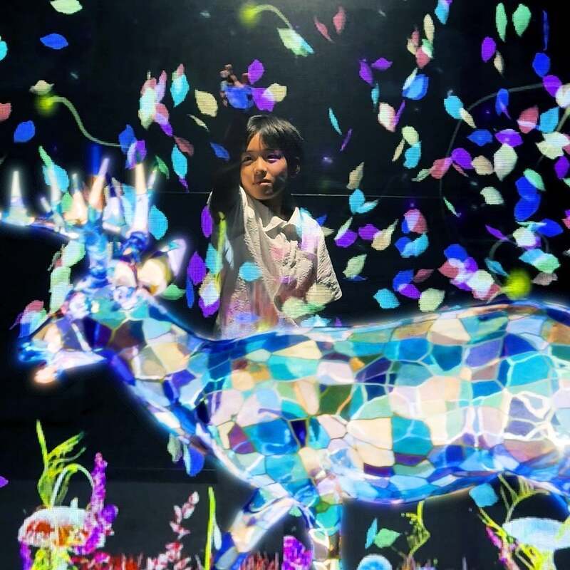 EARTH 生命力溢れる色鮮やかな幻想的世界!