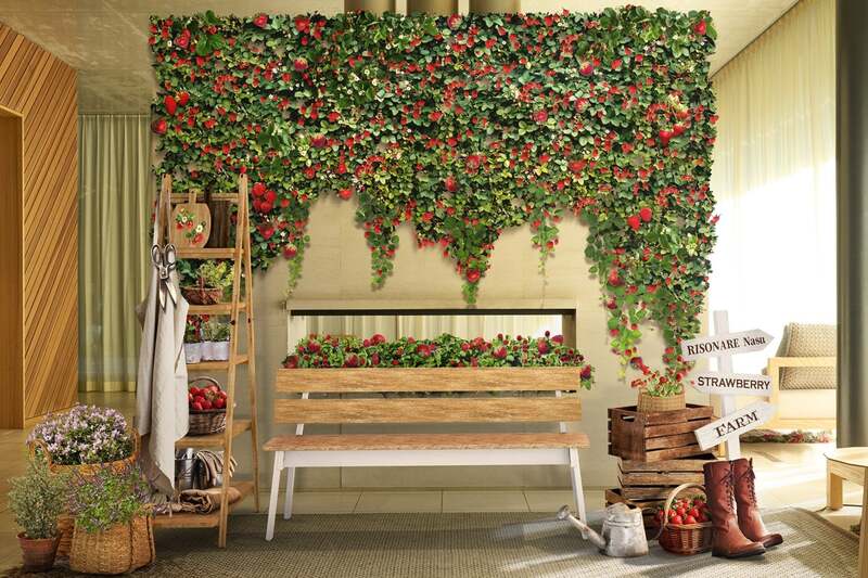 いちご農園をイメージした空間