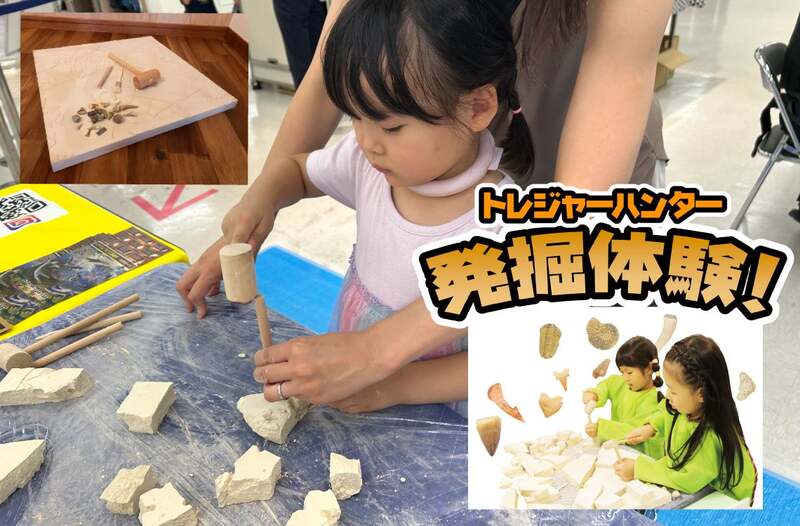 【化石発掘体験】1日先着100名様限定!