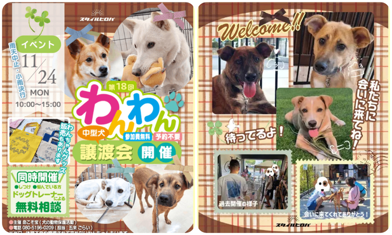 第18回わんわん譲渡会