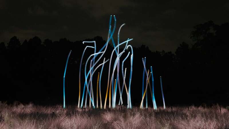 チームラボ《風と共に踊る柱群》、《光色の草原 - カピラリス》