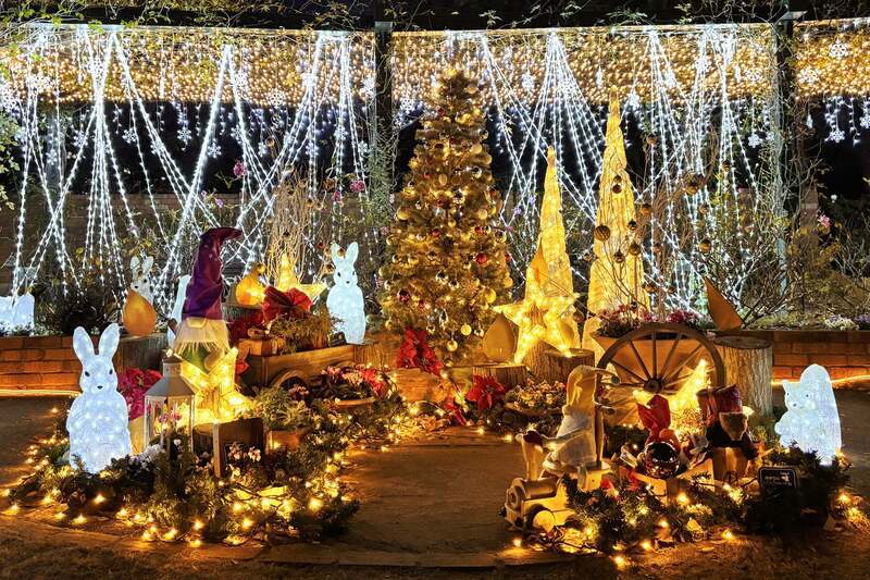 2024年のイルミネーション