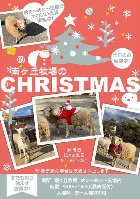 南ヶ丘牧場のクリスマス
