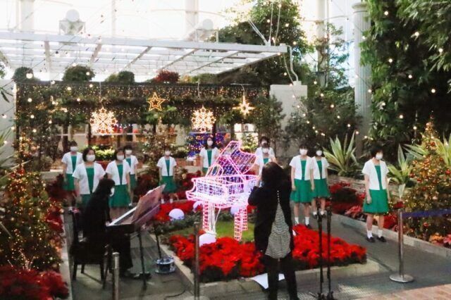 クリスマスコンサート|過去の様子