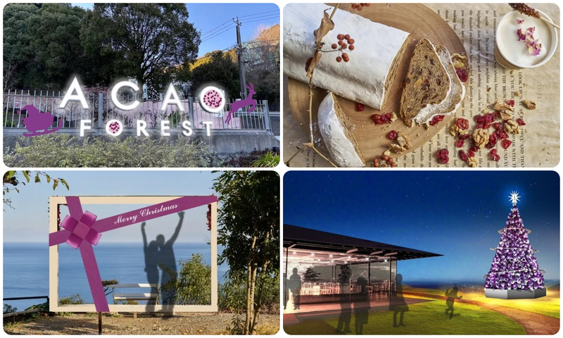 ACAO FOREST CHRISTMAS 2025