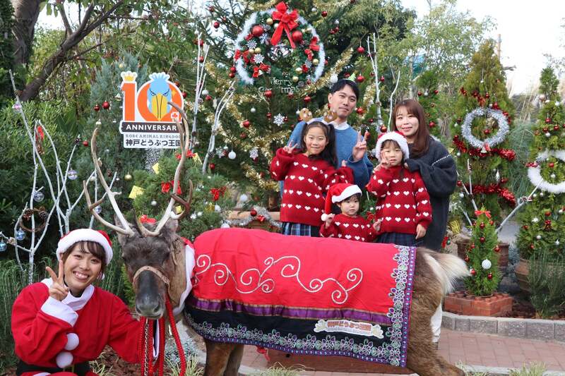 写真は去年の様子