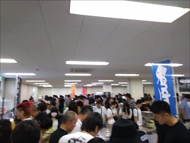 ジャングルハンター in 京都(イメージ)