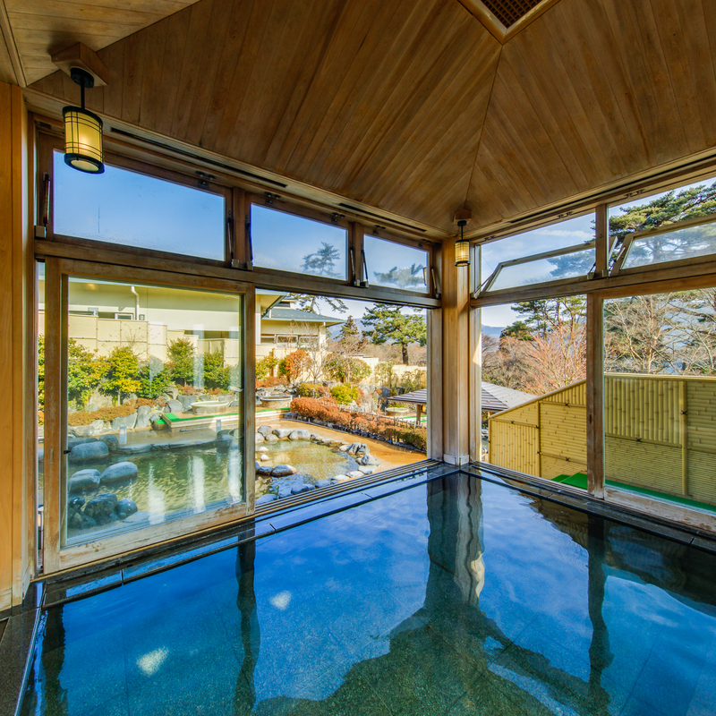 本格日帰り温泉「元湯 森の湯」内湯