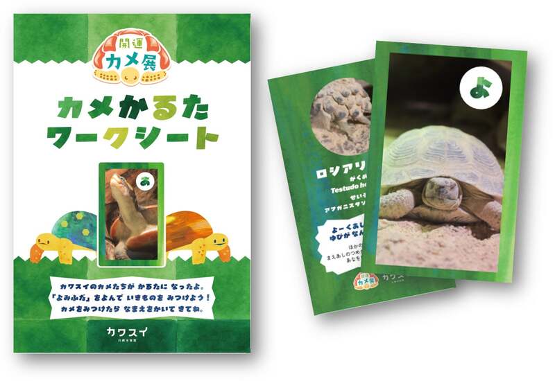 ワークシートと絵札のイメージ