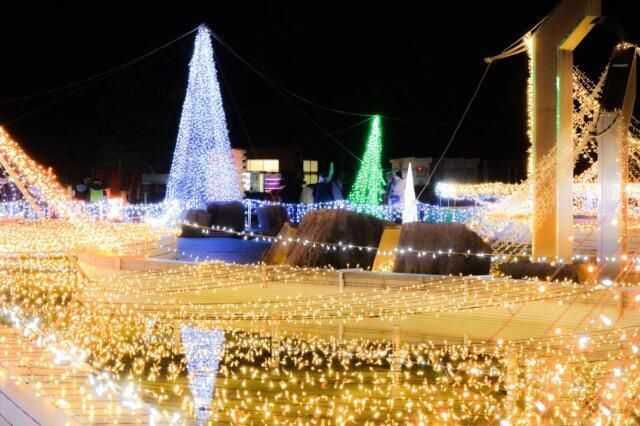 クリスマスファンタジーナイト2025 in 霧島ケ丘公園