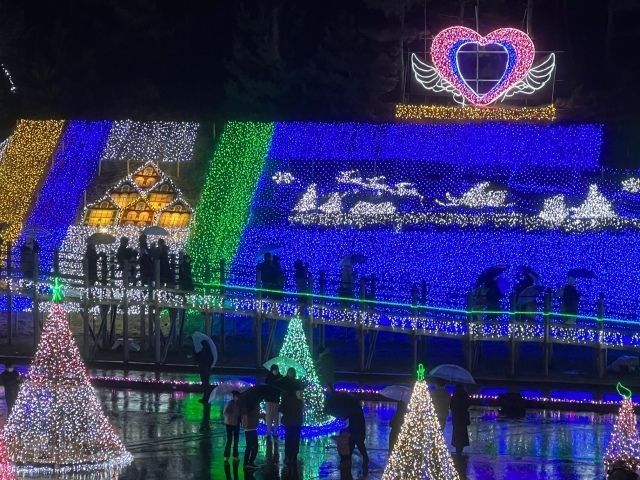 鳥取砂丘イリュージョン2025/過去の様子