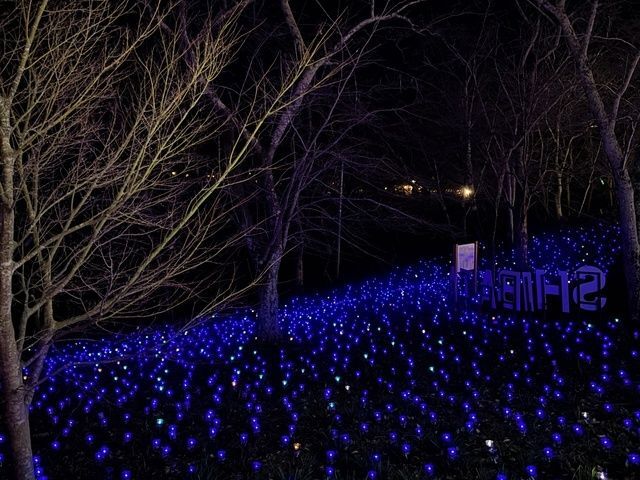 しばたファンタジーイルミネーション2025