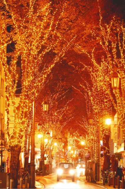 光のしずくイルミネーション/2023年光のしずくフォトコンテスト金賞受賞作品「光のしずく輝くストリート」