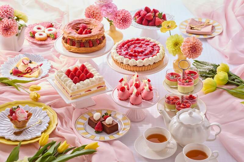 前半ラインナップ