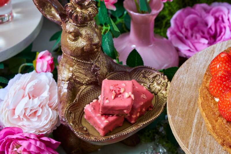 憩いのひととき