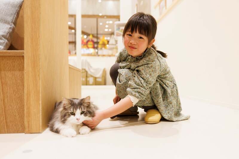 Cat Cafe MOFF コクーンシティさいたま新都心店