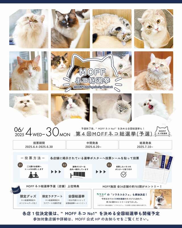 第4回MOFFネコ総選挙ポスター
