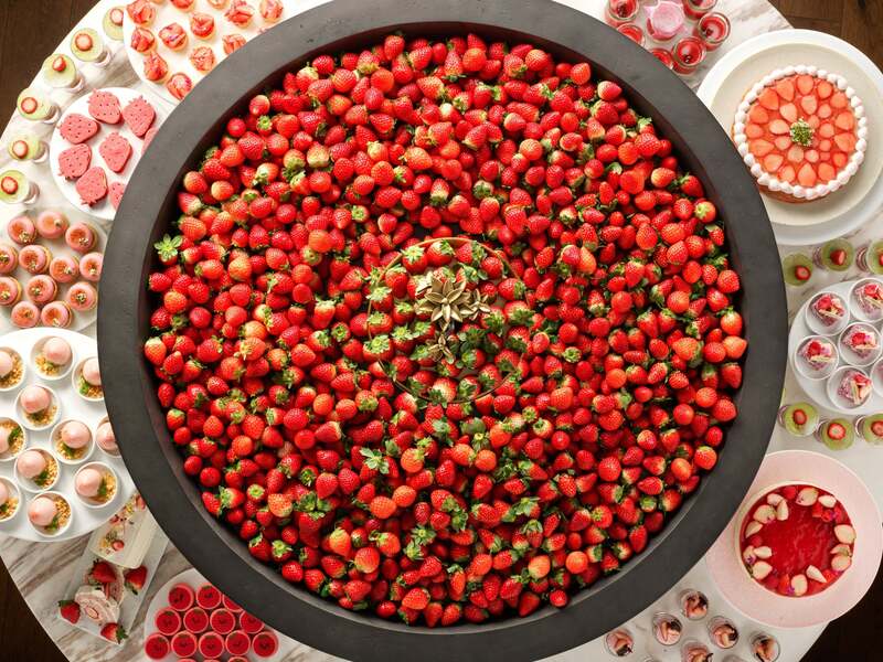 ※実際の提供と異なる場合があります