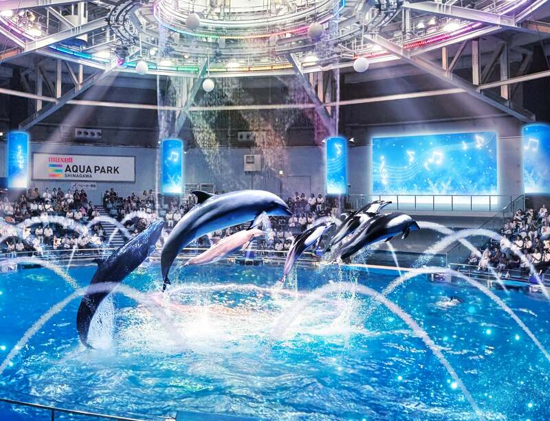 Winter Flute Melody ※イメージ