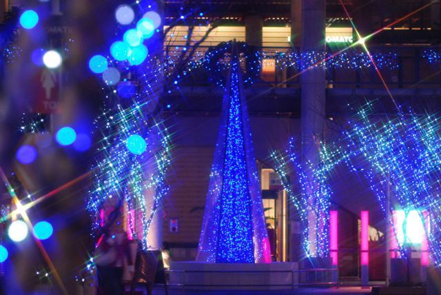 ASHIBINAA Winter Elegance イルミネーション2025-2026(過去開催時の様子)