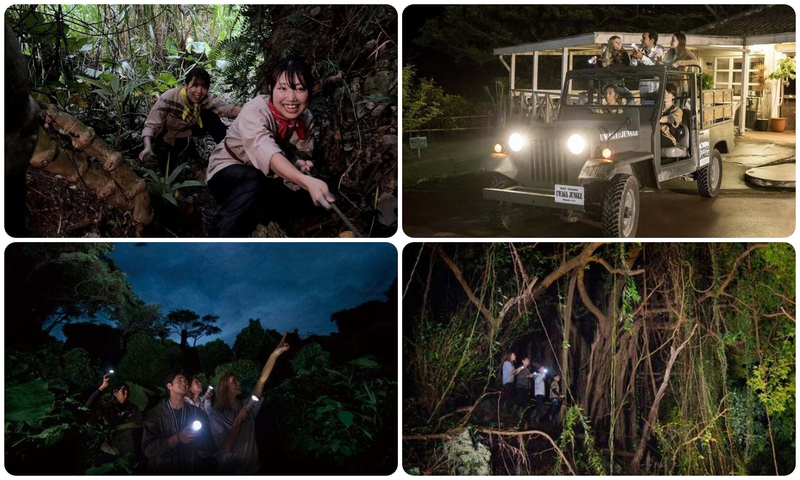 ウワーガージャングル