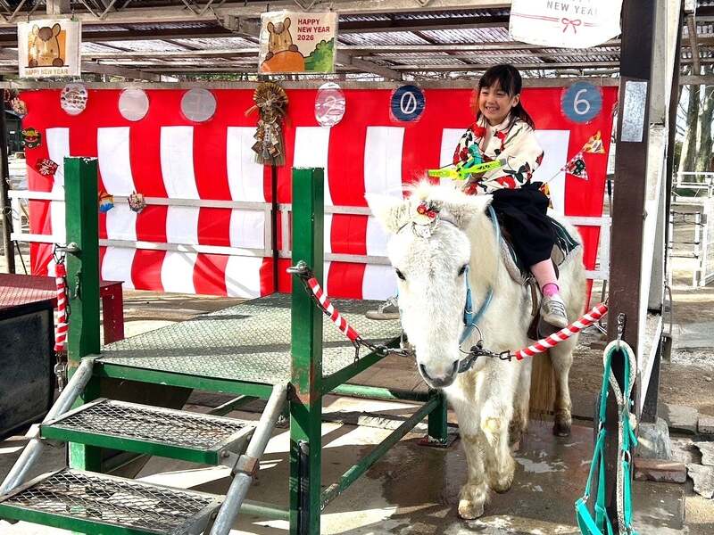 【新春!ポニーちびっこ流鏑馬体験】ポニーに乗って流鏑馬体験♪