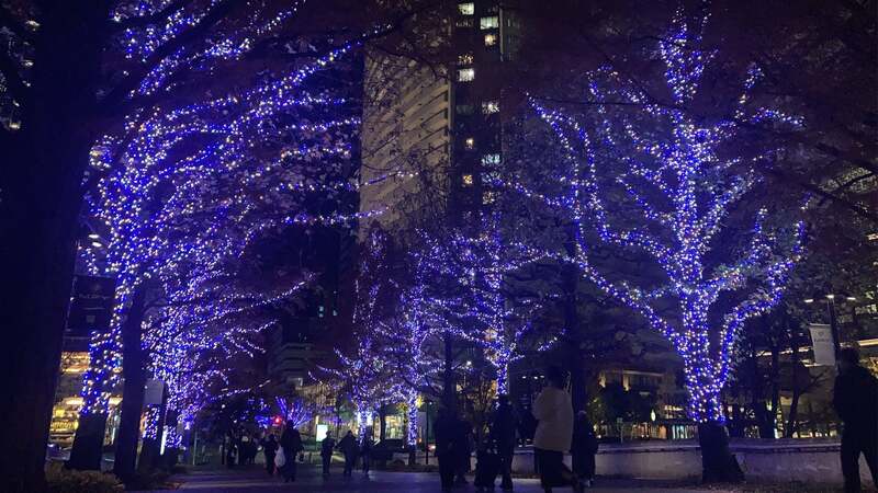 【桜木町・みなとみらいエリア】ヨコハマミライト2025 〜みらいを照らす、光のまち〜