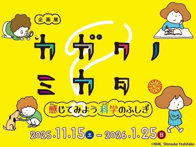 企画展「カガクノミカター感じてみよう科学のふしぎー」│(c)つくばエキスポセンター