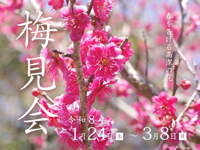 須磨離宮公園 梅見会