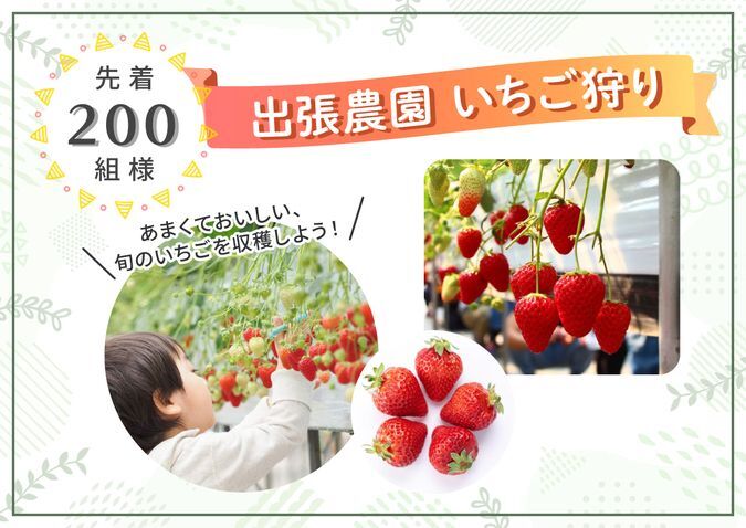 出張農園 いちご狩り(※写真はイメージです)