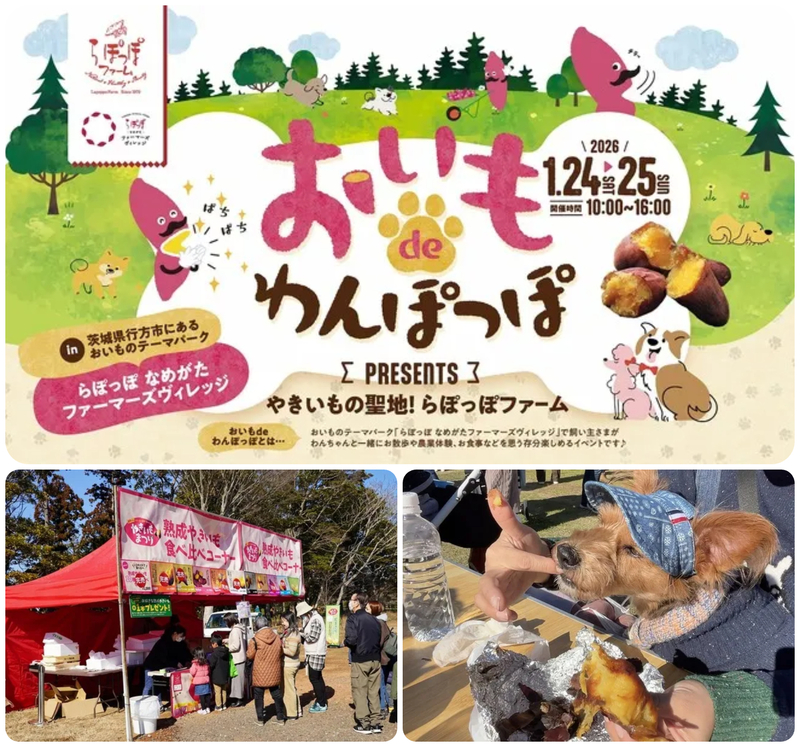 おいもdeわんぽっぽ