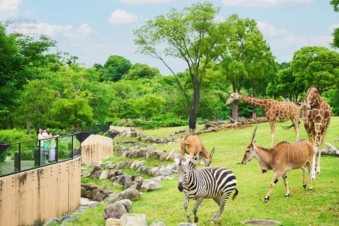 「よこはま動物園ズーラシア」園内の様子