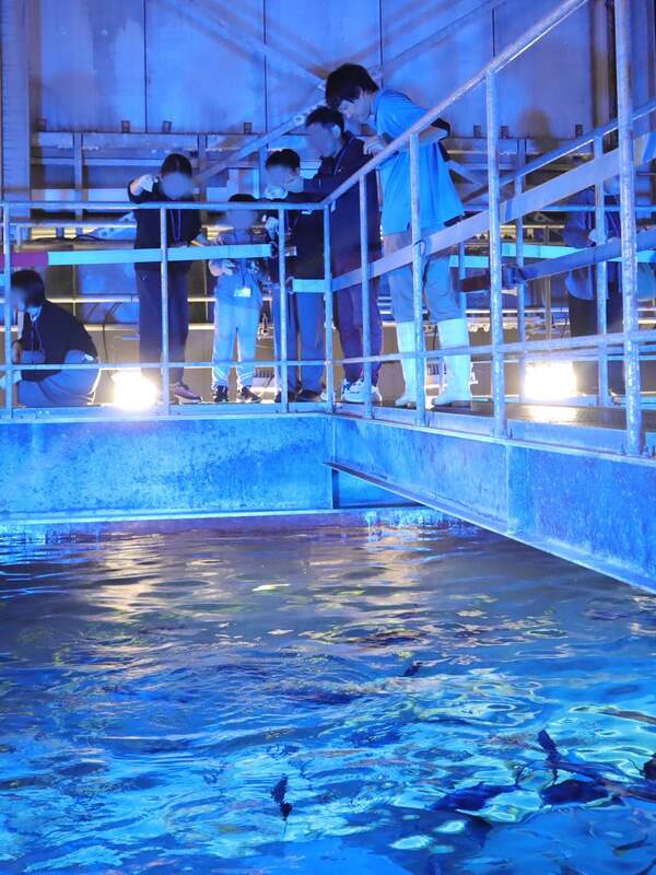 餌やり体験の様子