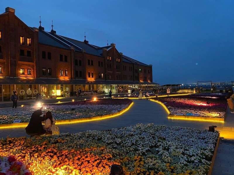 ライトアップイメージ