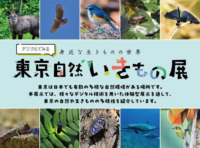 デジタルでみる東京自然いきもの展