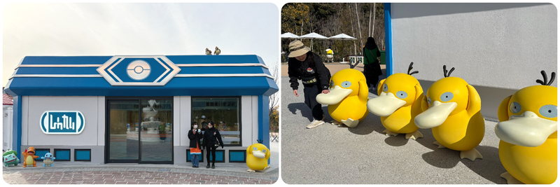 フレンドリィショップ横にいる4匹のコダック。触り心地がそれぞれ異なるので、ぜひ現地でふれてみてくださいね