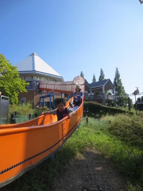 ローラーすべり台