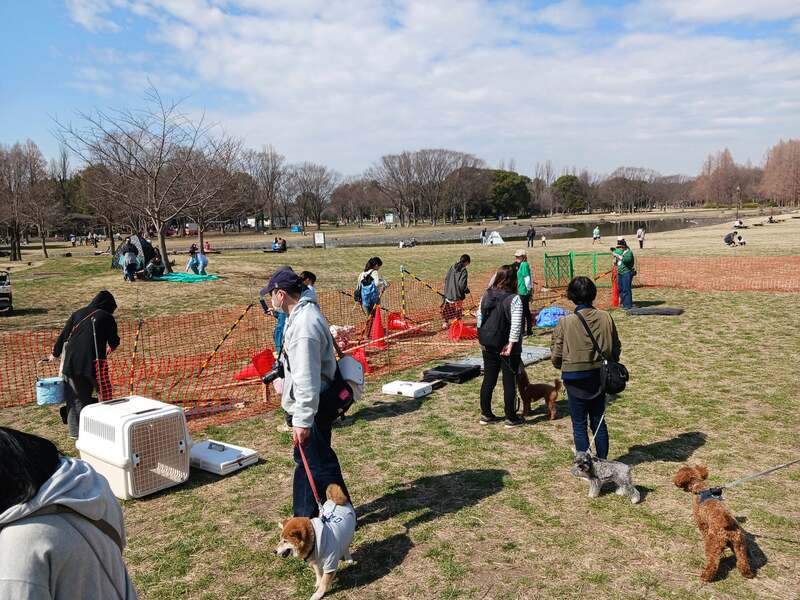 体験型コンテンツ